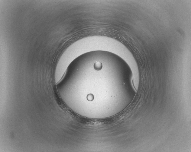 X0000116160276200912211534