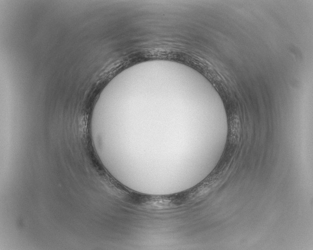 X0000116160278200912211534