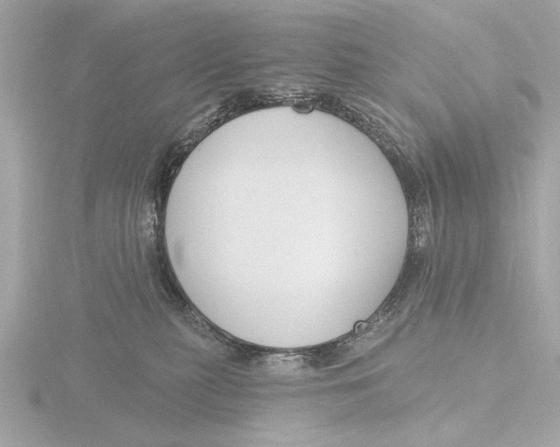X0000116160279200912211534