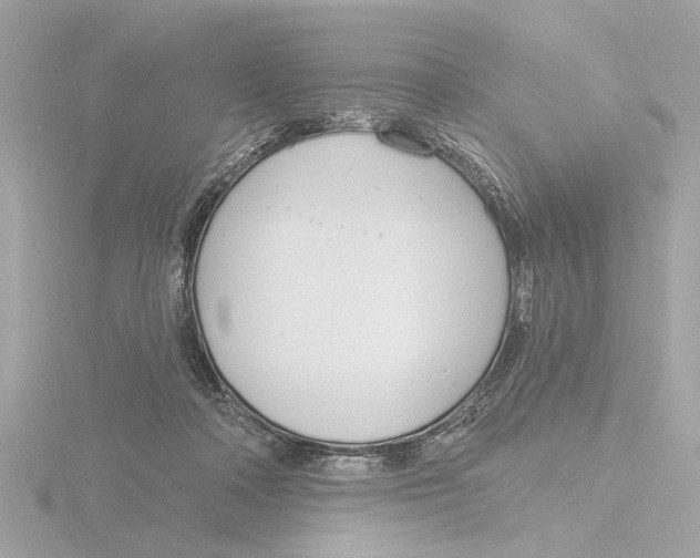 X0000116160314200912211533