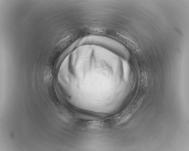X0000116160320200912211533