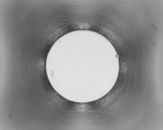 X0000116160321200912211533
