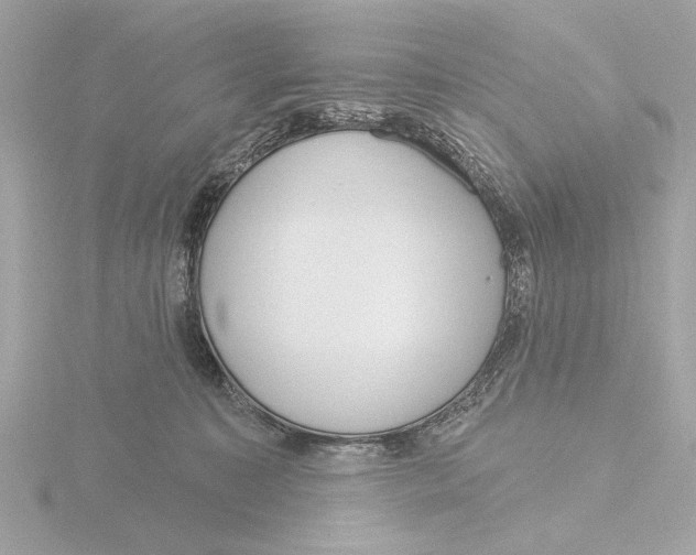 X0000116160323200912211533