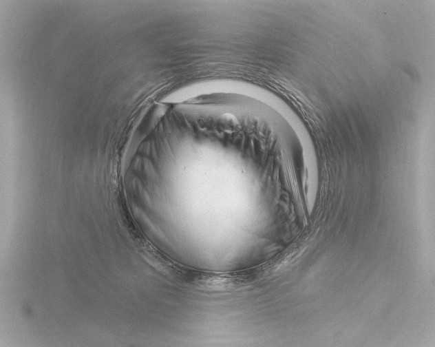 X0000116160325200912211533