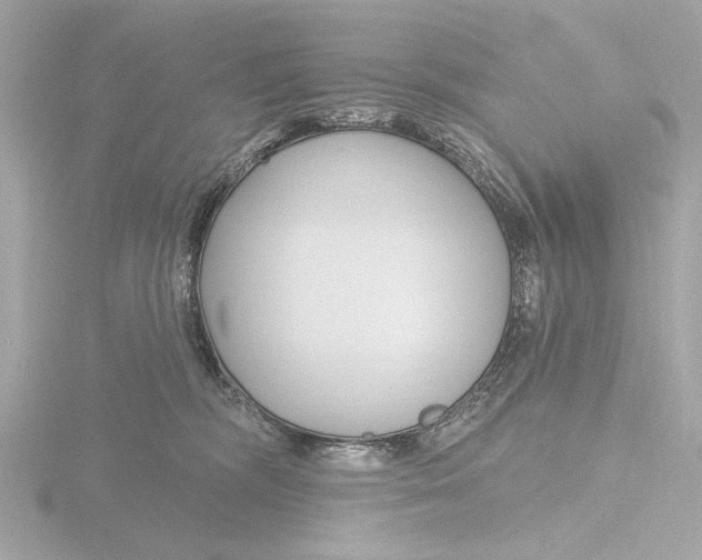 X0000116160326200912211533