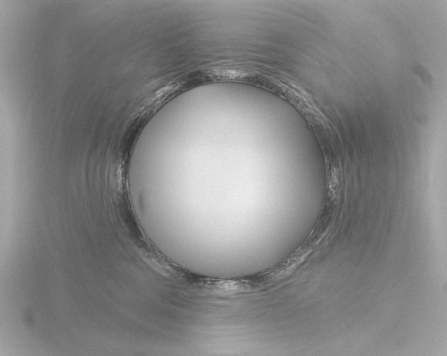 X0000116160330200912211533