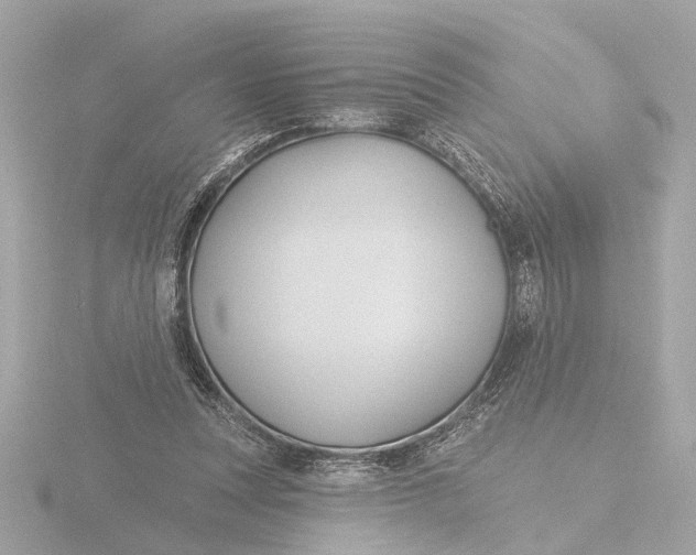 X0000116160351200912211532