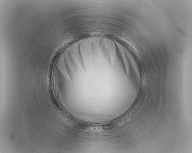 X0000116160353200912211532