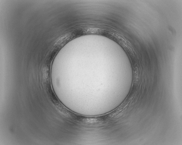 X0000116160361200912211533