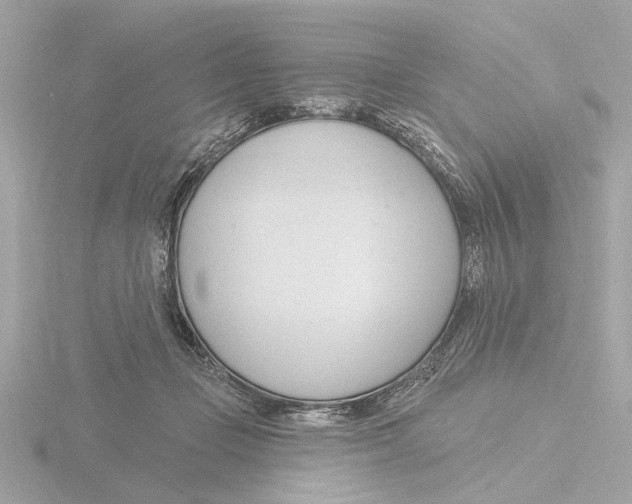 X0000116160365200912211533