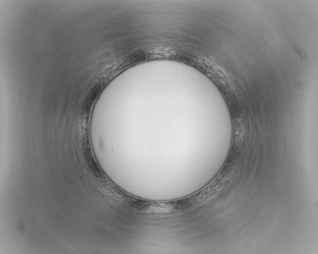 X0000116160369200912211533
