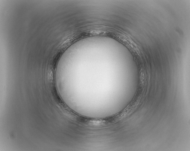 X0000116160375200912211533