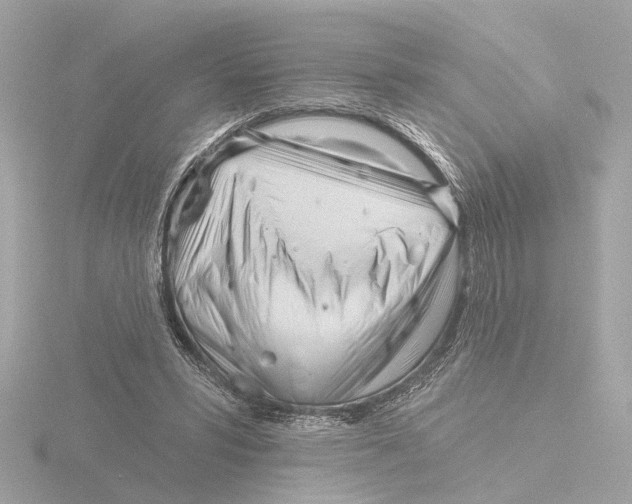 X0000116160399200912211532