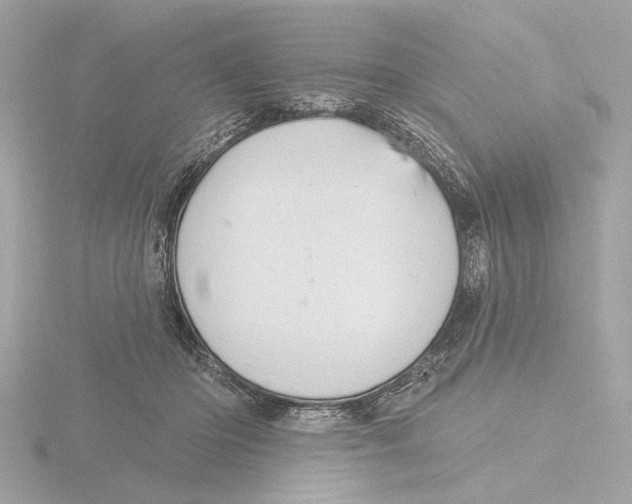 X0000116160414200912211532