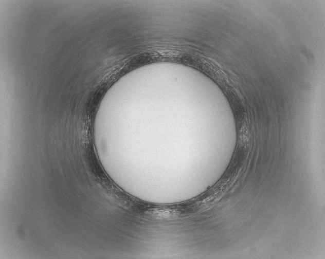 X0000116160464200912211531