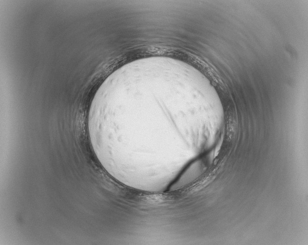 X0000116160473200912211532
