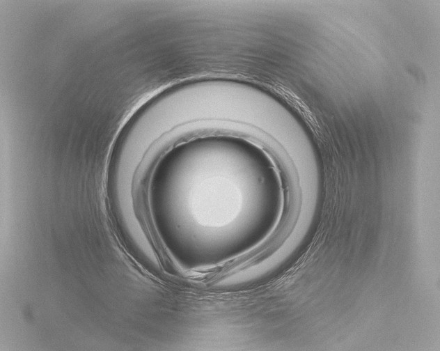 X0000116160484200912211531