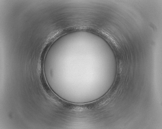 X0000116160494200912211531