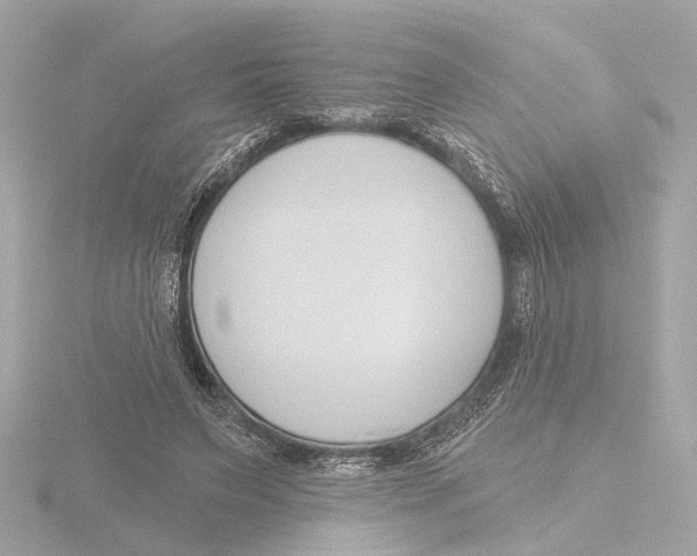 X0000116160495200912211531