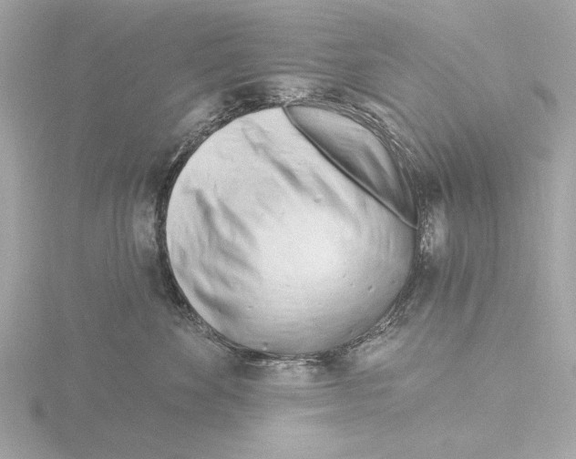 X0000116160524200912211530