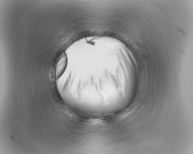 X0000116160528200912211530