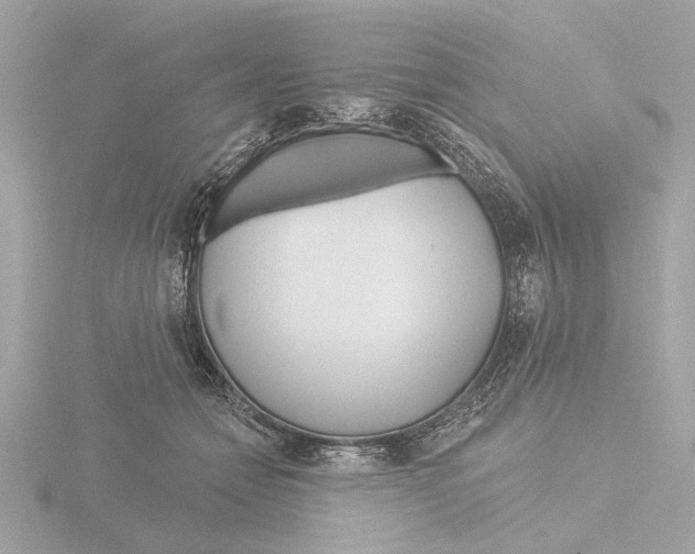 X0000116160558200912211530