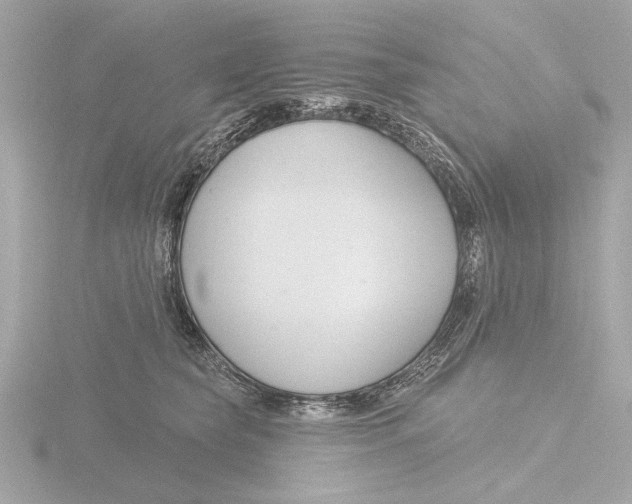 X0000116160565200912211530