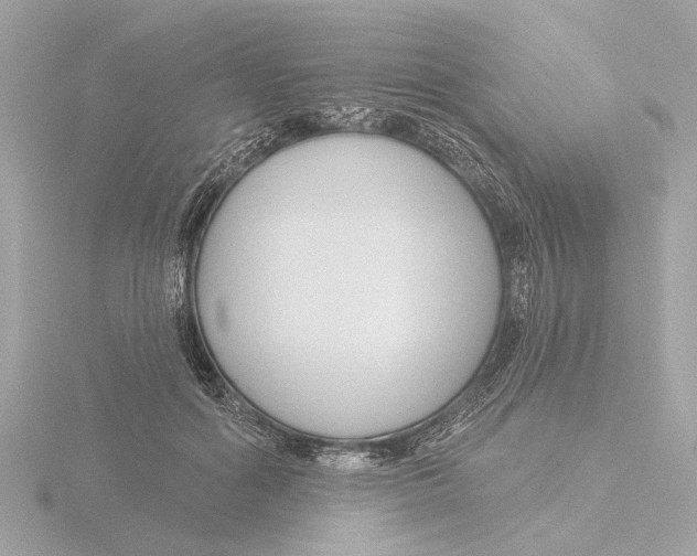 X0000116160602200912211529