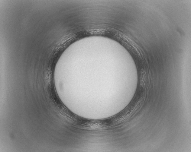 X0000116160604200912211529