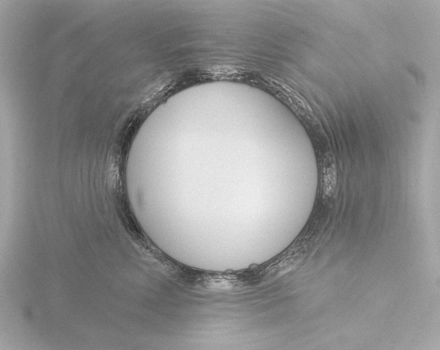 X0000116160618200912211529