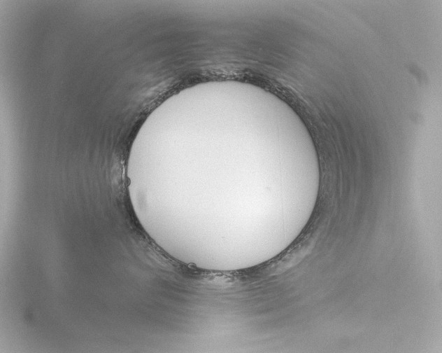 X0000116160624200912211529