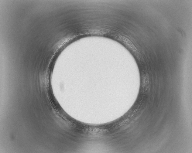 X0000116160632200912211529