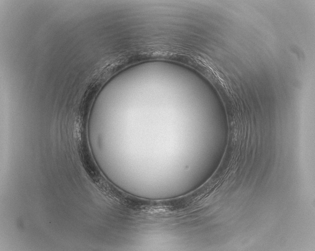 X0000116160643200912211529