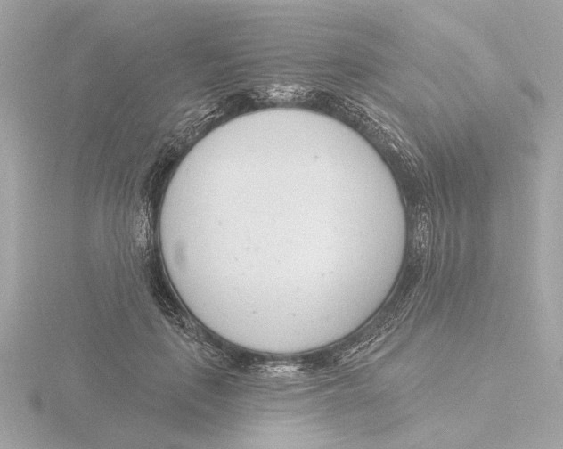 X0000116160651200912211529