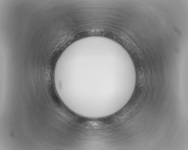 X0000116160654200912211529