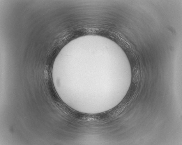 X0000116160655200912211529