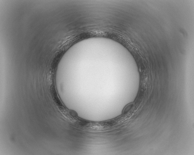 X0000116160658200912211529
