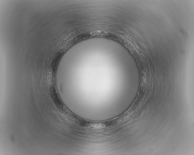X0000116160659200912211529