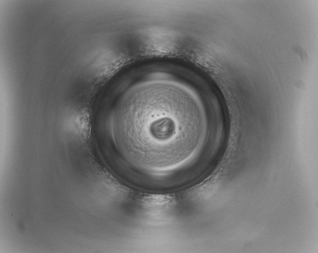 X0000116160672200912211529