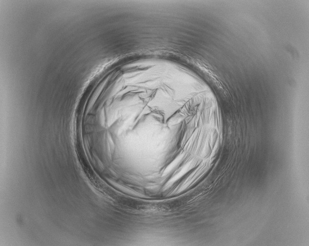 X0000116160678200912211529