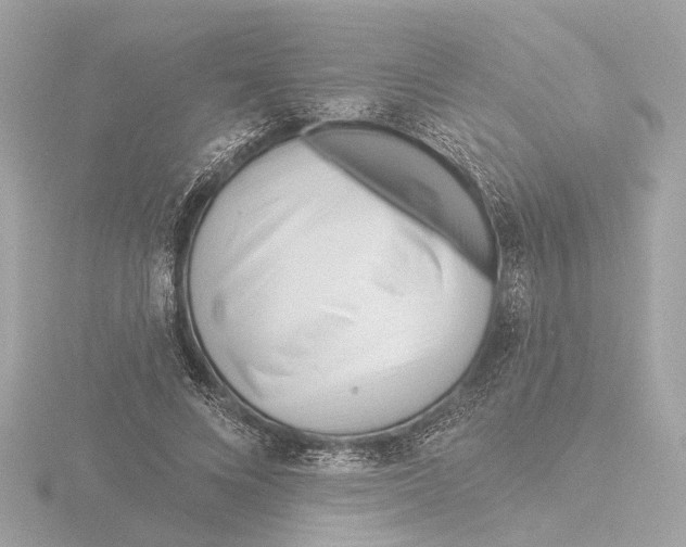 X0000116160688200912211528
