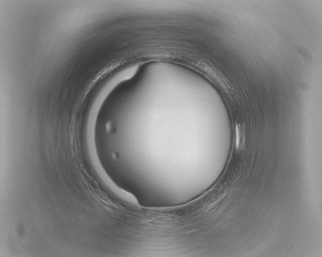 X0000116160723200912211527