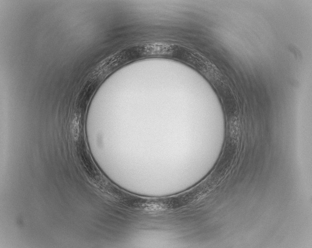 X0000116160741200912211528