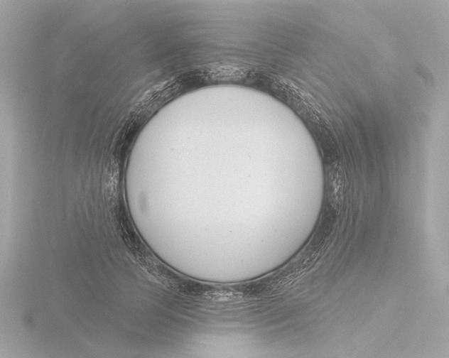 X0000116160745200912211528