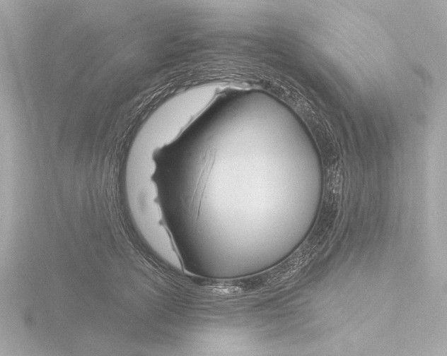 X0000116160754200912211528