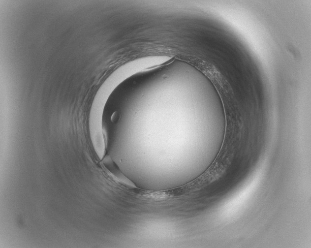 X0000116160767200912211528