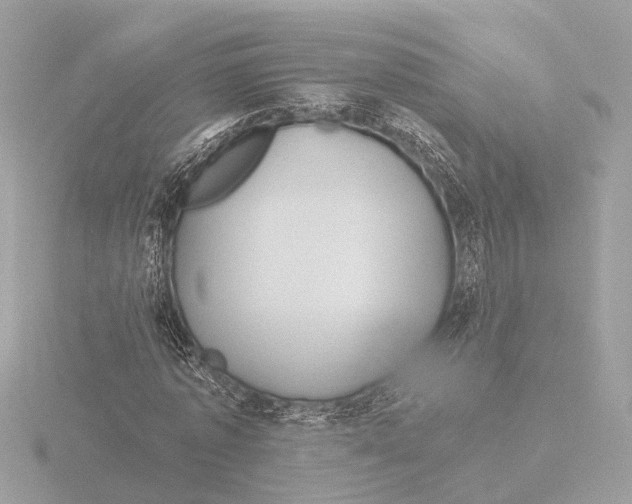 X0000116160773200912211527