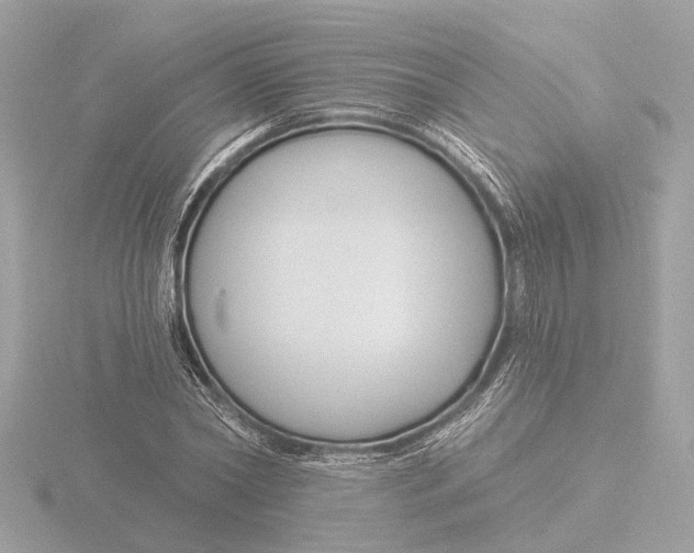 X0000116160782200912211527