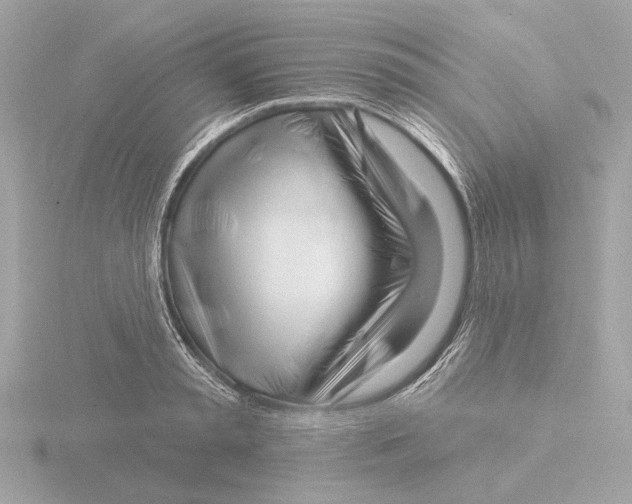 X0000116160797200912211527