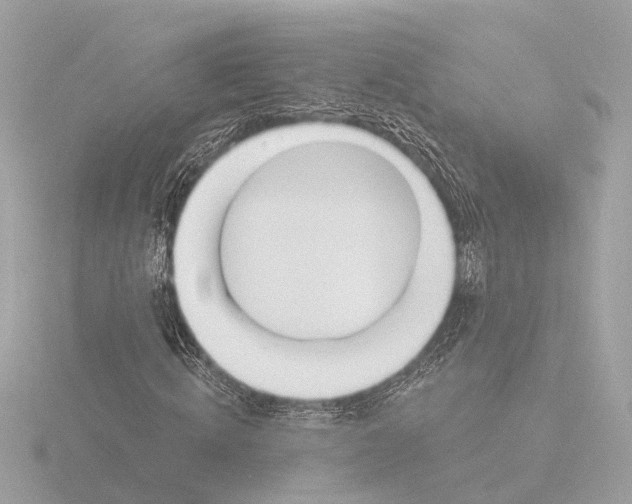 X0000116160820200912211526